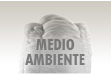 Medio Ambiente